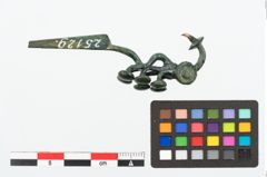 Foto von Bronzeschlangenfibel (NHMW-PRAE-025129)